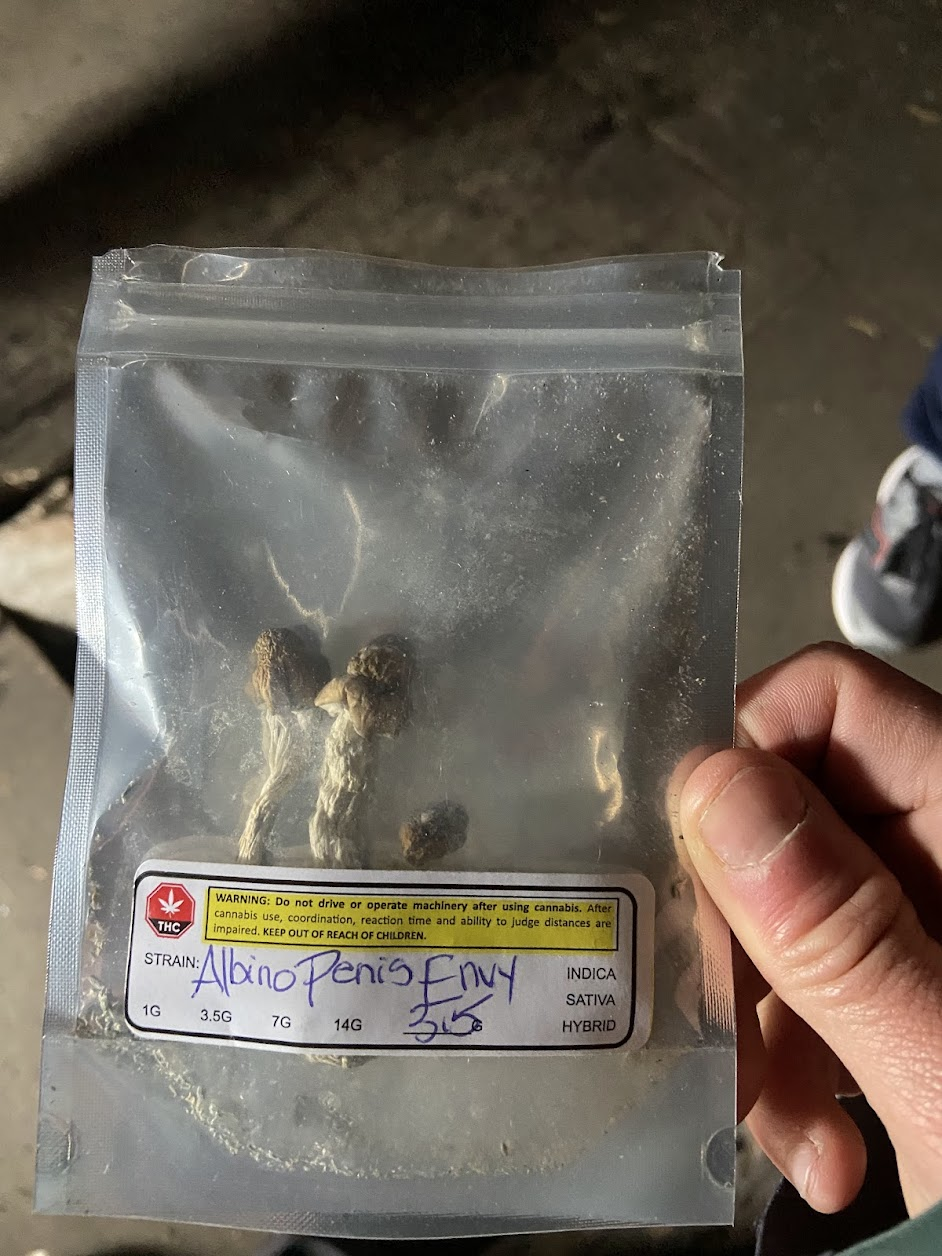 shrooms
