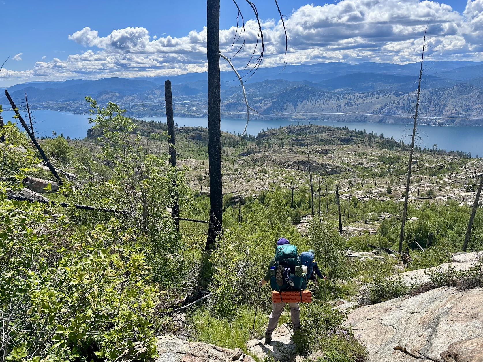 offtrail